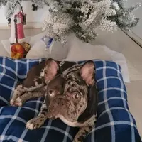 processed/bc616032-f952-4ff9-8b0b-a86443b44b07/facility/529cbb61-f75d-4bc6-b71f-9bde87760f89