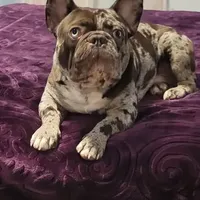 processed/bc616032-f952-4ff9-8b0b-a86443b44b07/facility/91df1279-fc47-4de4-b394-9ebc6a08e31f