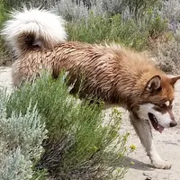 processed/bc662f10-a6be-4441-b33f-7bfc1a6538ed/facility/128becc7-7f4d-4660-8efb-52cc954c40c8