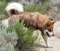 processed/bc662f10-a6be-4441-b33f-7bfc1a6538ed/facility/128becc7-7f4d-4660-8efb-52cc954c40c8