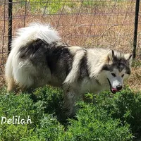 processed/bc662f10-a6be-4441-b33f-7bfc1a6538ed/facility/1a771d23-b796-4076-acad-2d2719b0970e