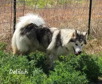 processed/bc662f10-a6be-4441-b33f-7bfc1a6538ed/facility/1a771d23-b796-4076-acad-2d2719b0970e