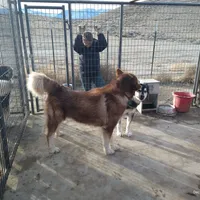 processed/bc662f10-a6be-4441-b33f-7bfc1a6538ed/facility/23a1ec81-4e8c-4e0b-816d-c1c1fb7fa8f6