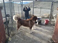 processed/bc662f10-a6be-4441-b33f-7bfc1a6538ed/facility/23a1ec81-4e8c-4e0b-816d-c1c1fb7fa8f6