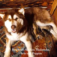 processed/bc662f10-a6be-4441-b33f-7bfc1a6538ed/facility/721f4e55-b25b-43f7-9e2e-19fb1824a40a