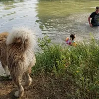 processed/bc662f10-a6be-4441-b33f-7bfc1a6538ed/facility/97aa6f3d-5b57-49ab-bd97-698d85610385