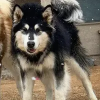 processed/bc662f10-a6be-4441-b33f-7bfc1a6538ed/facility/9922013e-c9c0-4027-99b8-ed2a28273e74