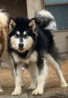 processed/bc662f10-a6be-4441-b33f-7bfc1a6538ed/facility/9922013e-c9c0-4027-99b8-ed2a28273e74