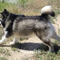 processed/bc662f10-a6be-4441-b33f-7bfc1a6538ed/facility/ab4644bd-2bc7-4a1c-80a2-5cc2e89694f8