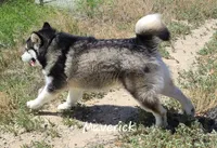 processed/bc662f10-a6be-4441-b33f-7bfc1a6538ed/facility/ab4644bd-2bc7-4a1c-80a2-5cc2e89694f8