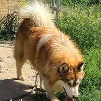 processed/bc662f10-a6be-4441-b33f-7bfc1a6538ed/facility/d5267743-1619-44c0-863b-e2604c6ccb60