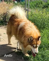 processed/bc662f10-a6be-4441-b33f-7bfc1a6538ed/facility/d5267743-1619-44c0-863b-e2604c6ccb60