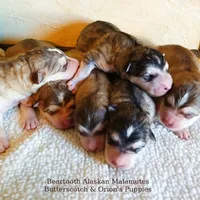 processed/bc662f10-a6be-4441-b33f-7bfc1a6538ed/facility/f44ab58e-5486-4c9e-a67e-f74b0661983e