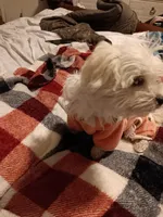 processed/bc6c8c63-dd7b-4651-9a38-79ec483c4c13/listing/070459a3-6e02-4ca2-bdef-78d98282ca41/1217f0ff-1037-4a7b-918d-b76fc18a7dea