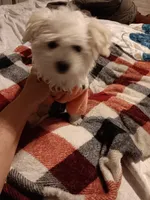 processed/bc6c8c63-dd7b-4651-9a38-79ec483c4c13/listing/070459a3-6e02-4ca2-bdef-78d98282ca41/1746d695-e5a9-4c94-8c62-4dd070eae739