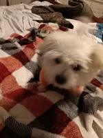 processed/bc6c8c63-dd7b-4651-9a38-79ec483c4c13/listing/070459a3-6e02-4ca2-bdef-78d98282ca41/5014735d-4209-4c94-9966-9d44c27dda5c