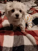 processed/bc6c8c63-dd7b-4651-9a38-79ec483c4c13/listing/11715153-9ec9-44f6-aa4e-5f72ace9bff7/33977868-461f-4e06-b304-e372a6fe731b