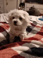 processed/bc6c8c63-dd7b-4651-9a38-79ec483c4c13/listing/11715153-9ec9-44f6-aa4e-5f72ace9bff7/375fd152-6e74-49ee-8189-841d66b78d12