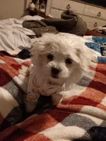 processed/bc6c8c63-dd7b-4651-9a38-79ec483c4c13/listing/11715153-9ec9-44f6-aa4e-5f72ace9bff7/cf543ec8-4b45-495d-bb09-daaec46490b8