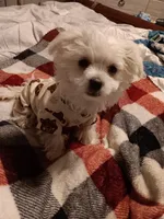 processed/bc6c8c63-dd7b-4651-9a38-79ec483c4c13/listing/3277e389-d041-4d66-9d4b-6bbf96bebdfa/29045ea2-de97-4df9-957a-88ff6d2fcf19