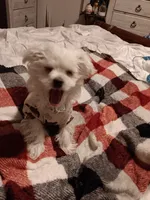 processed/bc6c8c63-dd7b-4651-9a38-79ec483c4c13/listing/3277e389-d041-4d66-9d4b-6bbf96bebdfa/5727b452-2f9a-4eb8-84cb-8e91b8fc0cc5