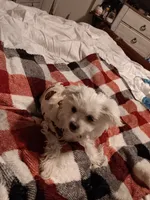 processed/bc6c8c63-dd7b-4651-9a38-79ec483c4c13/listing/3277e389-d041-4d66-9d4b-6bbf96bebdfa/7dff895d-8317-44e2-9360-4b32a1ec9db4