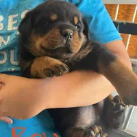 processed/bc769429-3b48-454b-8e61-e78f51c9b510/facility/01724564-4afb-4e5b-8941-0042164f059c