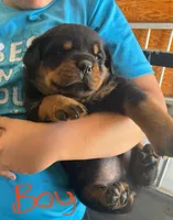 processed/bc769429-3b48-454b-8e61-e78f51c9b510/facility/01724564-4afb-4e5b-8941-0042164f059c