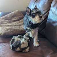 processed/bc769429-3b48-454b-8e61-e78f51c9b510/facility/08a280f5-2350-4e8c-b3b3-91618d24cbda