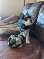 processed/bc769429-3b48-454b-8e61-e78f51c9b510/facility/08a280f5-2350-4e8c-b3b3-91618d24cbda