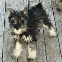 processed/bc769429-3b48-454b-8e61-e78f51c9b510/facility/20fb3c1a-1f35-490a-97b4-2b2f45a264cc