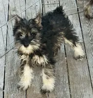 processed/bc769429-3b48-454b-8e61-e78f51c9b510/facility/20fb3c1a-1f35-490a-97b4-2b2f45a264cc