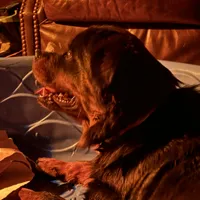 processed/bc769429-3b48-454b-8e61-e78f51c9b510/facility/3caa00fb-d945-4913-be25-90d01455c002