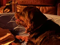 processed/bc769429-3b48-454b-8e61-e78f51c9b510/facility/3caa00fb-d945-4913-be25-90d01455c002