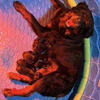 processed/bc769429-3b48-454b-8e61-e78f51c9b510/facility/4703085a-7d9a-4049-ab1d-77c6ea146fb5