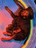 processed/bc769429-3b48-454b-8e61-e78f51c9b510/facility/4703085a-7d9a-4049-ab1d-77c6ea146fb5