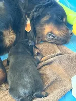 processed/bc769429-3b48-454b-8e61-e78f51c9b510/facility/4e9ffd25-1bd8-4d58-8688-bb0baaf78a53