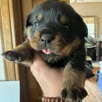 processed/bc769429-3b48-454b-8e61-e78f51c9b510/facility/9148b43a-8803-49fb-be9c-acc1c93c4a0b