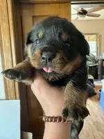 processed/bc769429-3b48-454b-8e61-e78f51c9b510/facility/9148b43a-8803-49fb-be9c-acc1c93c4a0b