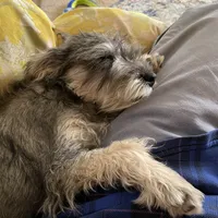 processed/bc769429-3b48-454b-8e61-e78f51c9b510/facility/a3c54323-70ab-403f-a1ca-736a5b8ad870