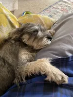 processed/bc769429-3b48-454b-8e61-e78f51c9b510/facility/a3c54323-70ab-403f-a1ca-736a5b8ad870