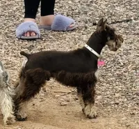 processed/bc769429-3b48-454b-8e61-e78f51c9b510/facility/b4dca8d6-fc79-4092-9c86-6a3ebb4a25fe