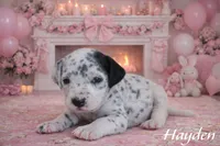 processed/bc7b7e8f-f87d-49a7-a1ab-40bc367bd430/listing/4c7ff492-87ce-448b-9856-970ba4289aca/ac3eed97-235b-4e6a-a1fa-ac117d3267d9