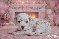 processed/bc7b7e8f-f87d-49a7-a1ab-40bc367bd430/listing/dfa4a787-ca8c-454f-868d-fcf52e364df5/a5e496a8-3811-44ce-8335-493d539bb72b