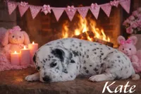 processed/bc7b7e8f-f87d-49a7-a1ab-40bc367bd430/listing/f651fb87-06b5-45b1-ac6f-93cb4755a75b/39bbf3cd-b875-46ab-a103-47dfbc32f78a