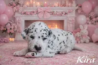 processed/bc7b7e8f-f87d-49a7-a1ab-40bc367bd430/listing/f8458551-a3d2-4860-8626-5e7fbdc5c0cd/d076de82-633d-48f9-9b33-aa906ac22f7e