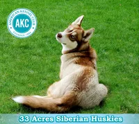 processed/bc7bc653-d204-4e70-bd57-ae1a35134a72/facility/3b387ff2-2ff5-4cfe-a317-c9821b6bc638