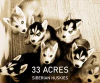 processed/bc7bc653-d204-4e70-bd57-ae1a35134a72/facility/b2a68628-8b41-49e5-90a7-24ba3732c833