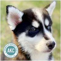 processed/bc7bc653-d204-4e70-bd57-ae1a35134a72/facility/cb476d94-d01a-4c5b-8f5e-de4101497113