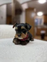 processed/bc870bf9-3cf2-4a80-8267-0cf494b8056d/listing/38e4d240-47e7-4054-b29a-e60ef8663a40/1f44feec-d656-40a8-a0d5-fd75af8ef911